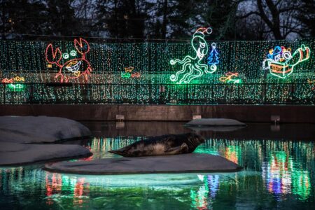 Group holiday fun in Chicago – Choose Chicago
