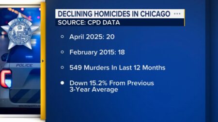Chicago homicides in 2025: 116 people slain. Here’s how that compares with previous years. – Chicago Tribune
