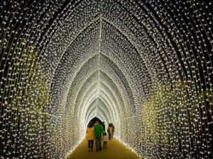 The best November 2024 events in Chicago – Time Out