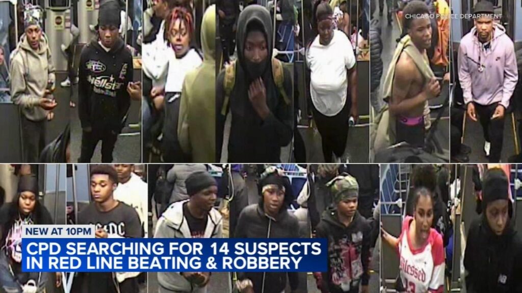 Chicago crime: Woman stabbed, killed in Budlong Woods on Balmoral Avenue; man in custody, police say – ABC7 Chicago
