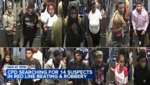 Chicago crime: Woman stabbed, killed in Budlong Woods on Balmoral Avenue; man in custody, police say – ABC7 Chicago