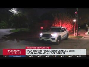 Aggravated assaults hit 5-year high in Chicago during October – Illinois Policy