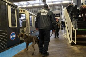 Chicago faces roughly 1 crime every 3 hours on CTA – Illinois Policy
