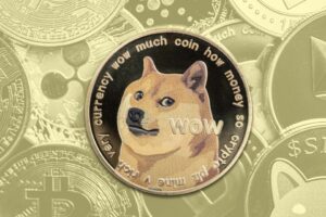 What is DOGE and what does it do? An explainer as Trump, Musk make changes – NBC 5 Chicago
