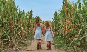 Best Farms for Family Fun and Entertainment in Chicago – Mommy Poppins