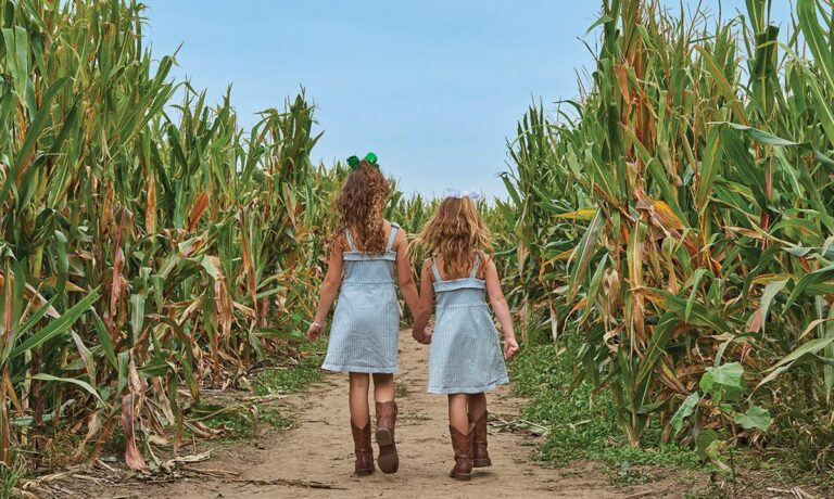 Best Farms for Family Fun and Entertainment in Chicago – Mommy Poppins