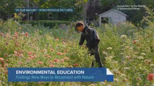 New Documentary Showcases Southside Blooms, Importance of Environmental Education – WTTW News
