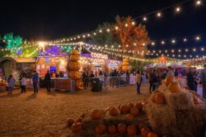 Best Harvest & Pumpkin Festivals in Chicago for Fall Family Fun – Mommy Poppins