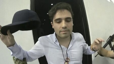 Ovidio Guzmán pleads guilty in Chicago court – EL PAÍS English