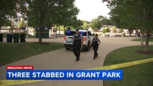 Chicago crime: Man killed, another seriously injured in South Loop stabbing on South Wabash Avenue, police say – ABC7 Chicago