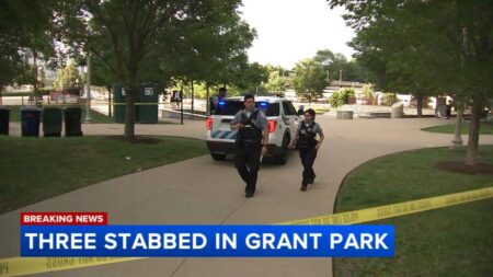 Chicago crime: Man killed, another seriously injured in South Loop stabbing on South Wabash Avenue, police say – ABC7 Chicago