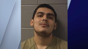Chicago teen charged as serial murderer: ‘Difficult to comprehend’ six killings – USA Today