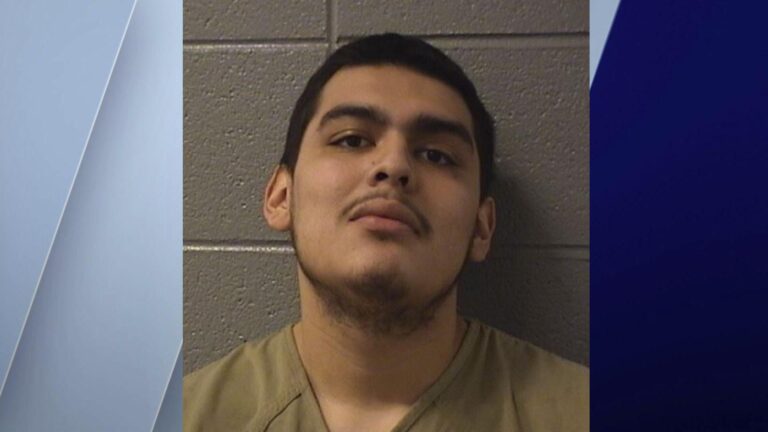 Chicago teen charged as serial murderer: ‘Difficult to comprehend’ six killings – USA Today