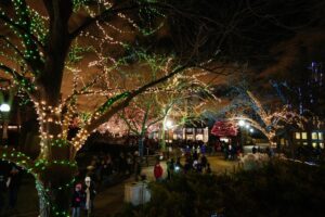 Discover Chicago’s Top Holiday Events for Unforgettable Fun – modernluxury.com