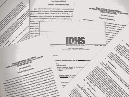 PPP fraud in Illinois sees nearly 375 government workers implicated, state watchdog finds – Chicago Sun-Times