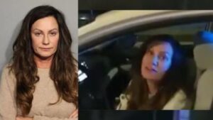 In Samantha Steele’s DUI arrest, Cook County politician told Chicago cops, ‘I’m an elected official’ – Chicago Sun-Times