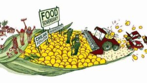 Commentary: Investing in these 6 components can achieve true food sovereignty – Crain’s Chicago Business