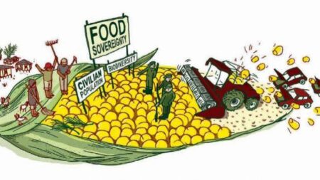 Commentary: Investing in these 6 components can achieve true food sovereignty – Crain’s Chicago Business