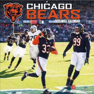 3 Reasons to Believe in the 2025 Chicago Bears – On Tap Sports Net