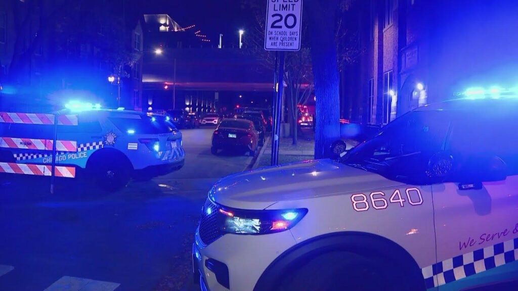 Researcher reacts to being used in White House Chicago crime claims – MSN