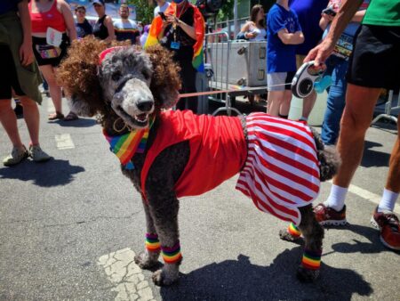15+ kid-friendly Pride events in Chicago for families – Choose Chicago