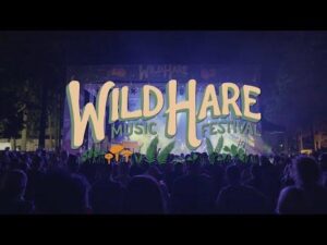 Wild Hare Music presents: Reggae & Booze feat: Dj Ringo in the Club Level Thursday October 16th – Chicago Reader