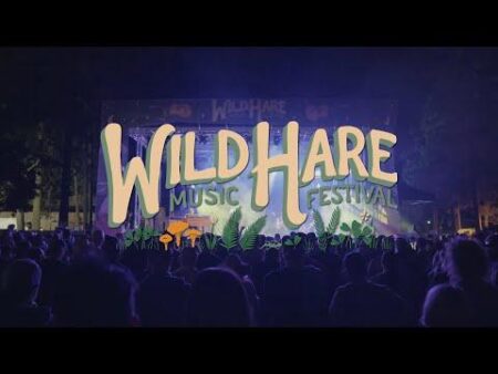 Wild Hare Music presents: Reggae & Booze feat: Dj Ringo in the Club Level Thursday October 16th – Chicago Reader