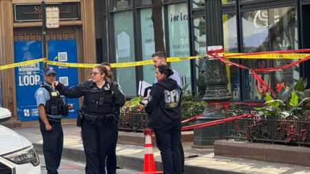 Chicago crime: Man, 33, seriously wounded in stabbing near The 606 – FOX 32 Chicago