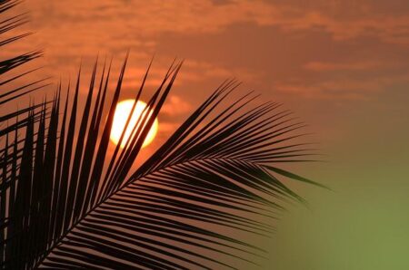 DHS leans into propaganda with militaristic action videos – cnn.com